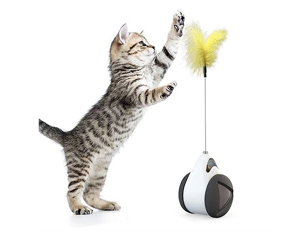 Interactive Balance Feather Cat Toy