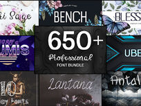 650+ Professional Font Bundle: Lifetime Subscription - Product Image