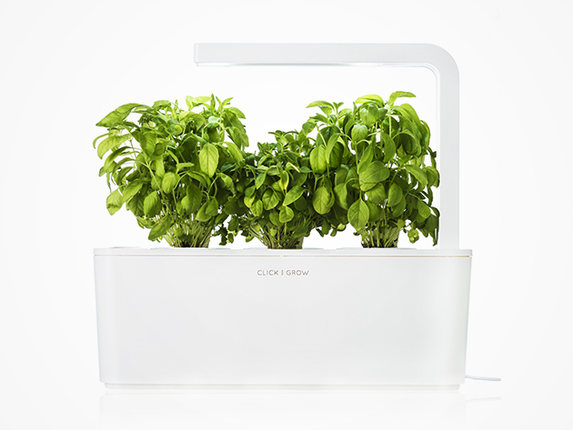 Smart Herb Garden Starter Kit & 3-Pack Refill (International)