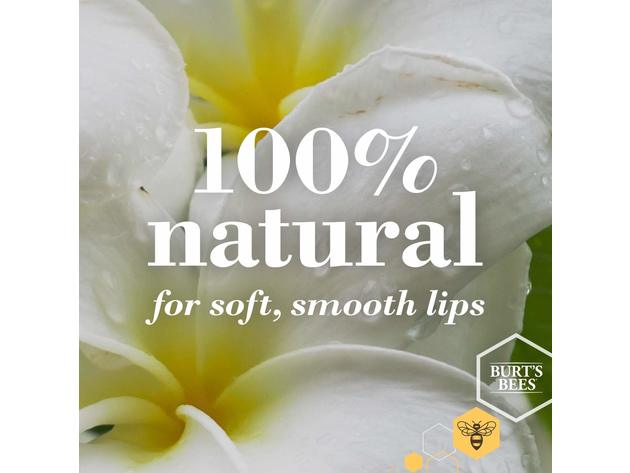 Burt's Bees 100% Natural Moisturizing Lip Balm, Vanilla Bean - 1 Tube