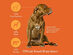 DNA My Dog Premium Breed ID Test