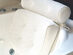 3D Mesh Neck & Shoulder Bath Pillow 