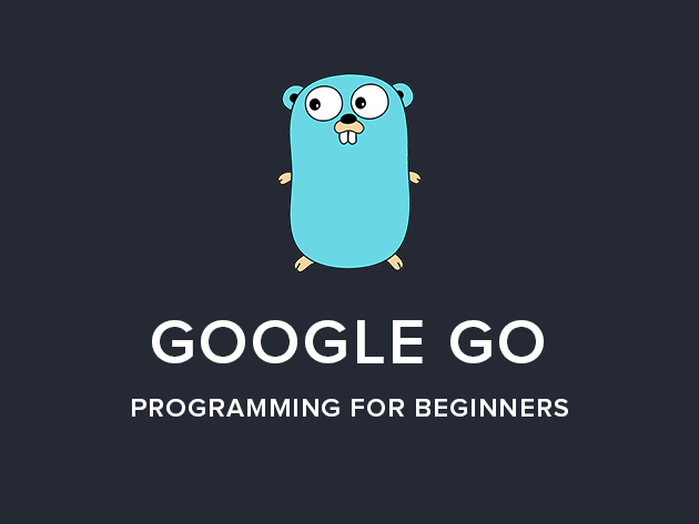 Google Go Programming For Beginners (Golang)