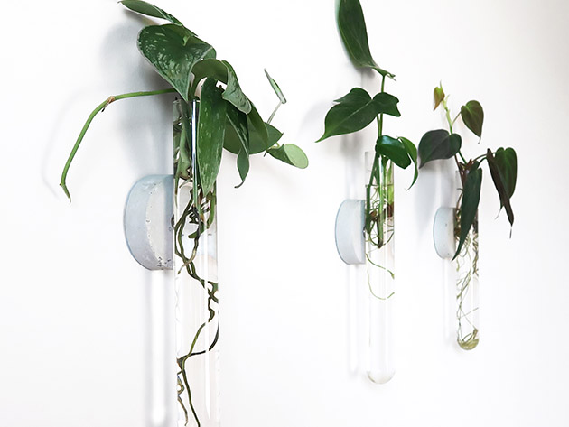 Iron & Spout Wall-Mounted Magnetic Propagation Set (Set of 9)