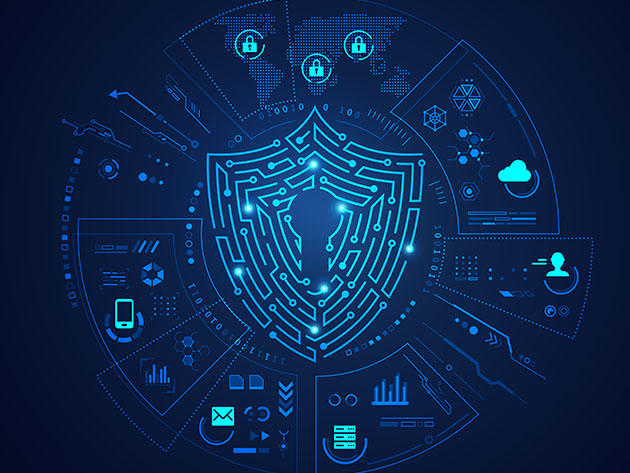 The Master Cyber Security 65-Course Certification Bundle