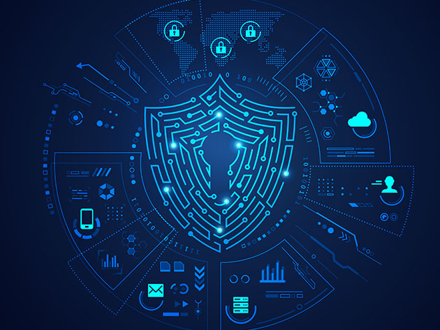 The Master Cyber Security 65+ Course Certification Bundle