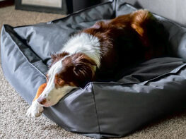 BuddyRest Titan Citadel Ballistic Dog Bed