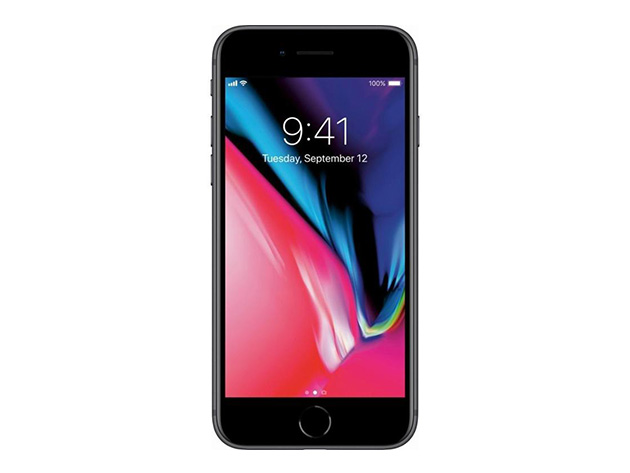 Apple iPhone 8 (A1863) 256GB - Space Gray (Grade A Refurbished: Wi-Fi + Unlocked)