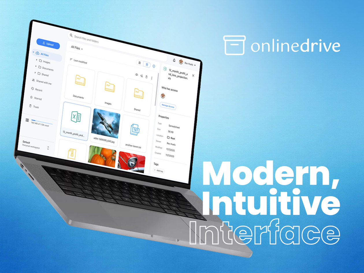 OnlineDrive Cloud Storage: Lifetime Subscription (Corporate Plan/4TB)