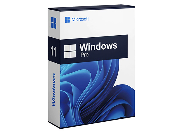 Microsoft Windows 11 Pro Digital Download