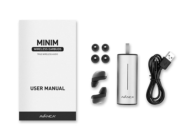 Avanca Minim True Wireless Earbuds (Silver Metallic)
