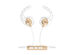 Bluetooth Wireless Headphones (Gold/White) + Earhoox (White) Bundle