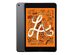 Apple iPad mini 5 (2019) 9.7" 256GB (Refurbished: Wi-Fi + Cellular Unlocked)	