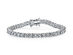10CT Vivid 4mm Tennis Bracelet