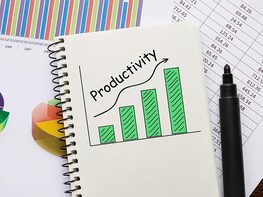 Productivity & Project Management Course for Increased Profits