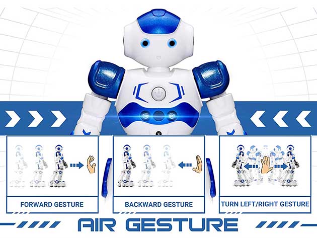Gesture-Sensing Programmable Remote Control Smart Robot