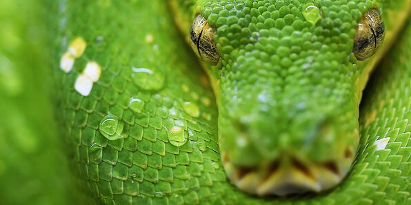 From 0 to 1: Learn Python Programming Easy as Pie - Product Image