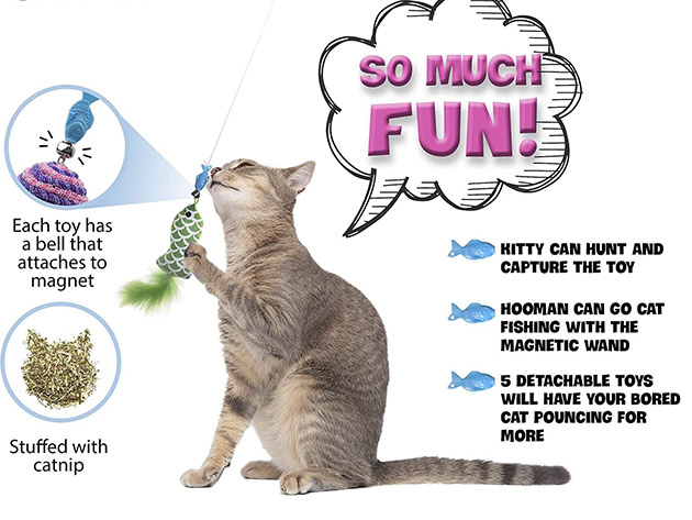 Uretfærdighed husdyr sol Magnetic Fishing Cat Wand Toy Set (2-Pack) | StackSocial