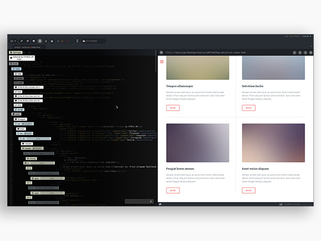Lucid 4 Animation Software: Lifetime Subscription