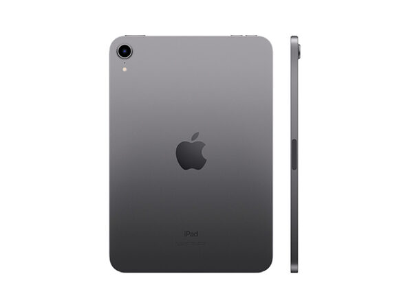 Apple iPad Mini 5 7.9'' 256Go A12 Wi-Fi Noir/Gris MUU32VC/A - Ordi