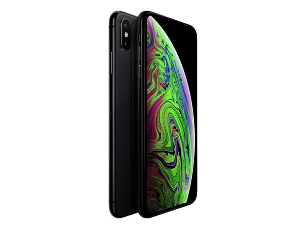 Apple iPhone XS Max (A1921) 256GB - Space Gray (Grade A+ Refurbished: Wi-Fi + Unlocked) 