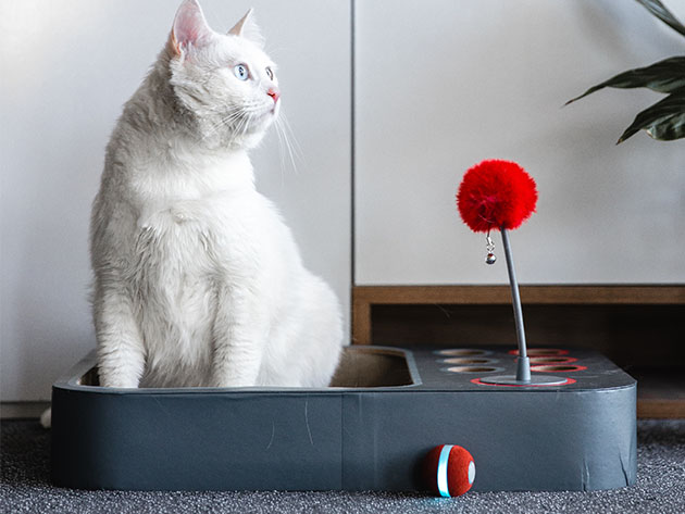Cheerble Board Game: All-in-One Interactive Toy for Cats