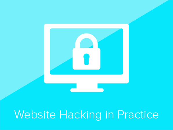 Website Hacking Techniques In Practice - Product Image