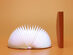 Product 16558 product shots2 image