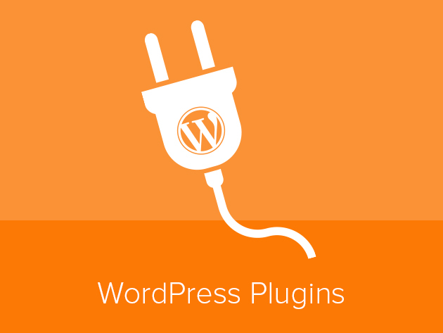 Intro to WordPress Plugins Course