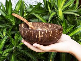 Coconut Bowls & Wooden Spoon Set