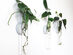 Iron & Spout Wall-Mounted Magnetic Propagation Set (Set of 9)