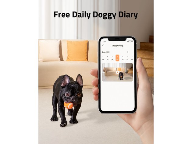 eufy Pet Dog Camera D605