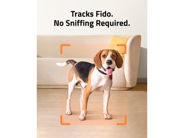 Fido camera best sale