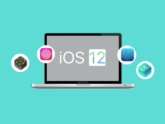 iOS 12 & Swift 4: From Beginner To Paid Professional