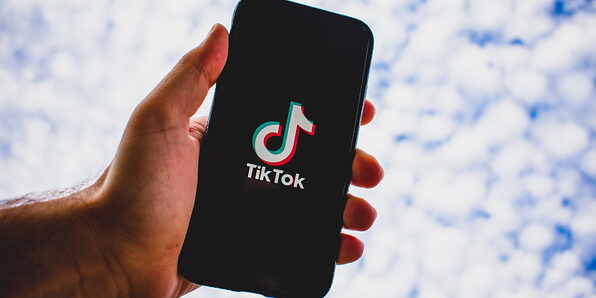 TikTok Marketing 2020: Grow Your Account & Master TikTok Ads - Product Image