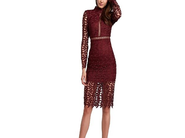 chinese dress ladies Bardot Karoline Lace Hourglass Dress in Orchid White – TrenLend
