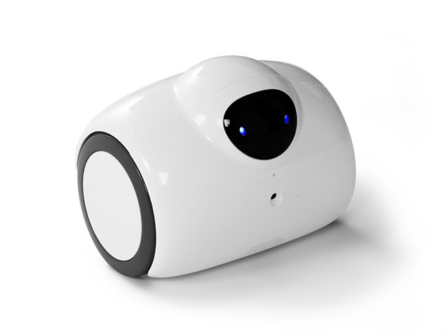 Zubot Interactive HD Surveillance Smart Robot