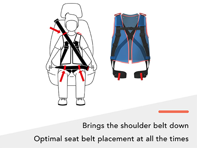 WhizRider Portable Car Seat for Kids (Blue/Large)