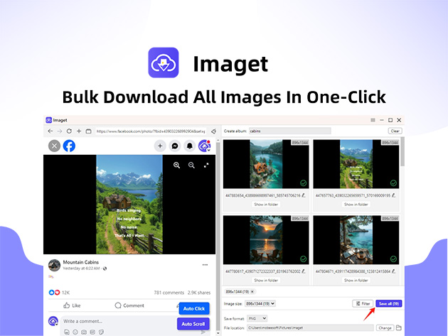 Imaget Bulk Image Downloader for Desktop Only: Lifetime Plan