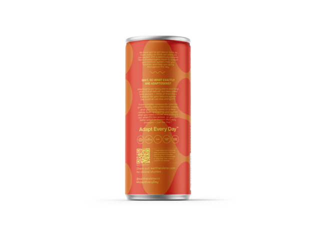 Golden Turmeric Latte with Adaptogens 24-Pack by Earth & Star