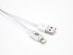 Luminid Touch Light-Up Cable