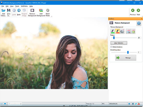 softorbits photo stamp remover 8.4 torrent