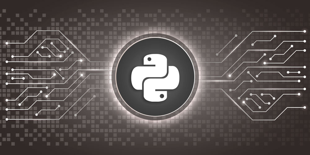 Learn Python & Ethical Hacking from Scratch