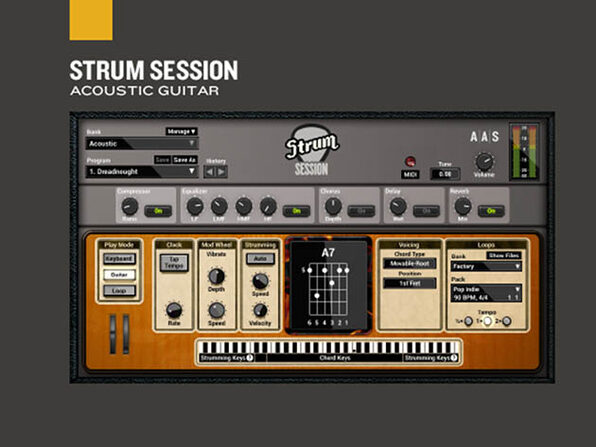 AAS Strum Session - Product Image