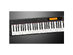 Casio CDPS350  CDP-S350 Compact Digital Piano Black