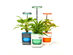 PICO Smart Indoor Herb Planter (Sea Green/3-Pack)