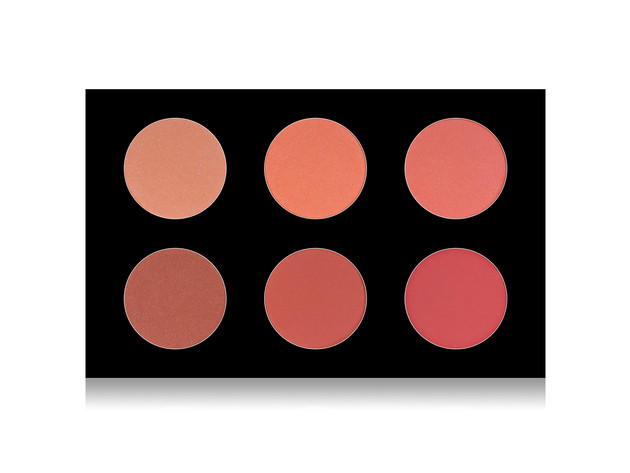SHANY Mini Masterpiece Makeup Set - 6 Layer Refills - WARM BLUSH