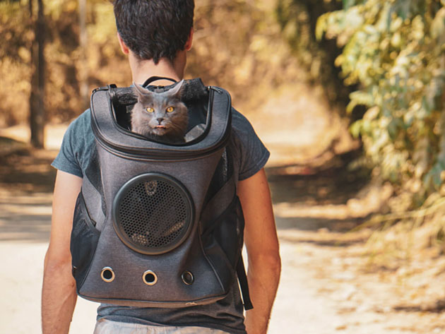 "The Fat Cat" Cat Backpack