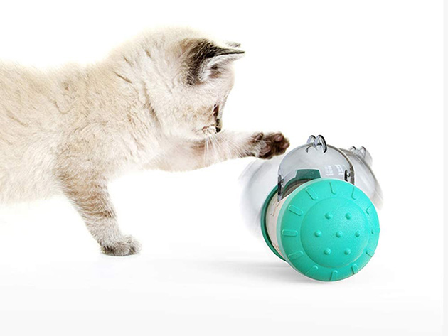 Educational Interactive Cat & Dog Feeder Ball