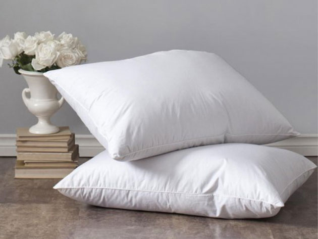 iEnjoy Home Down Pillows: 2-Pack (King)